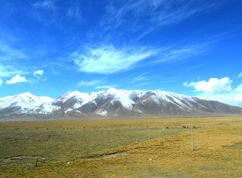 Kekexili Grand Prairie