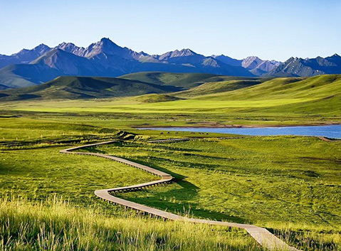 Qilian grassland