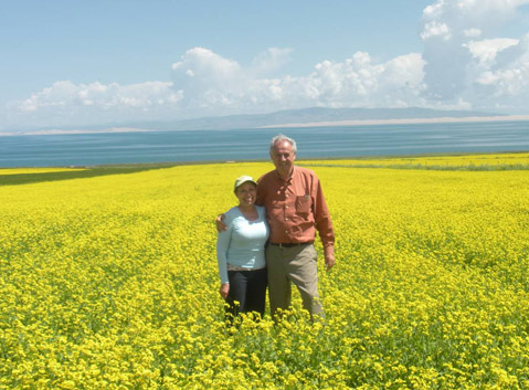 Qinghai Lake in Rape Flower Season