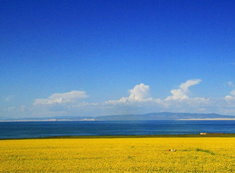 Qinghai Lake
