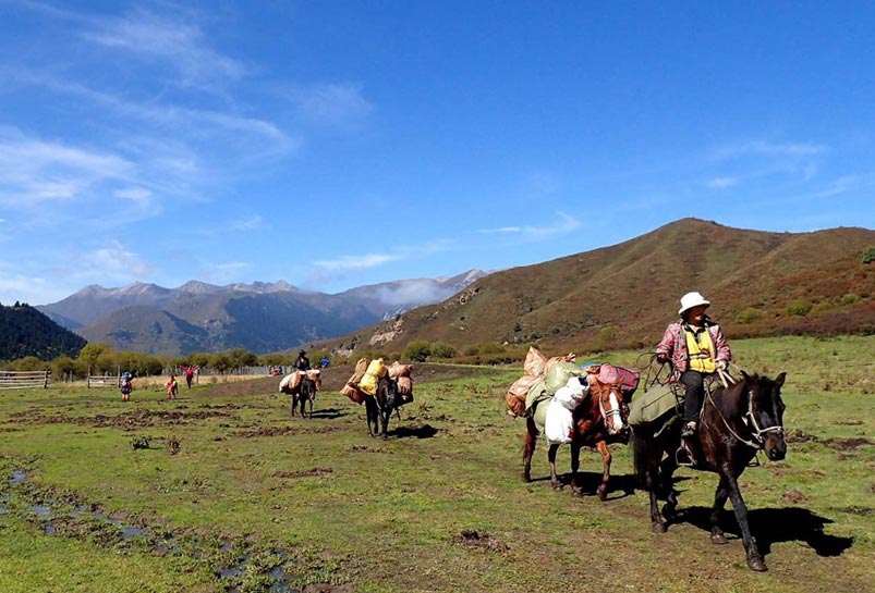 Horse Riding in Qizanggou