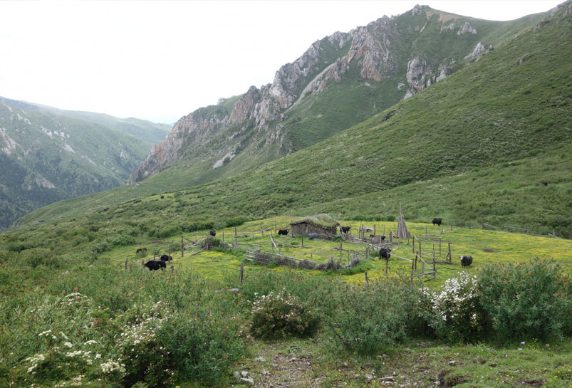 The Small Wooden Cottage in Qizanggou