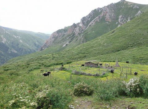 Small Wooden Cottage in Qizanggou