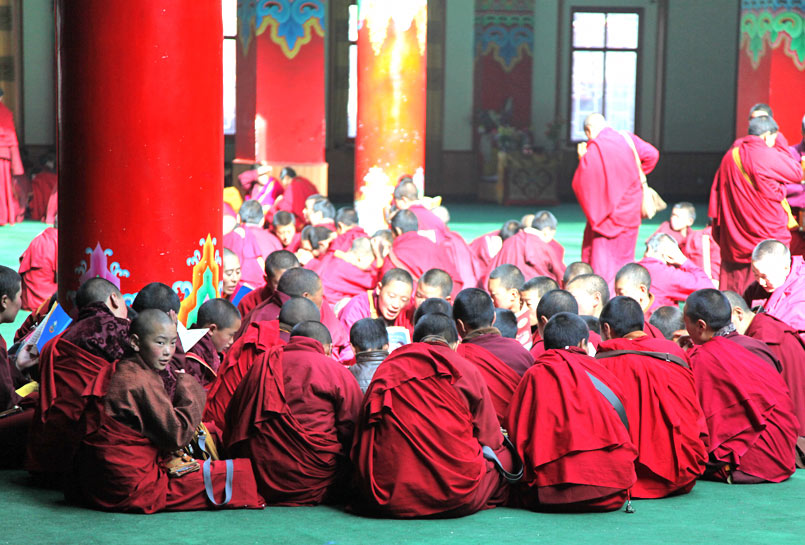 The Lamas are studying Buddhism.