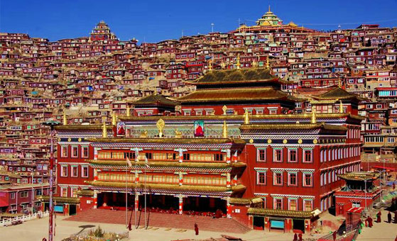 6 Days Seda Wuming Buddhist Academy Tour from Chengdu