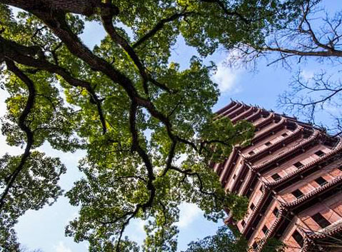 Six Harmonies Pagoda