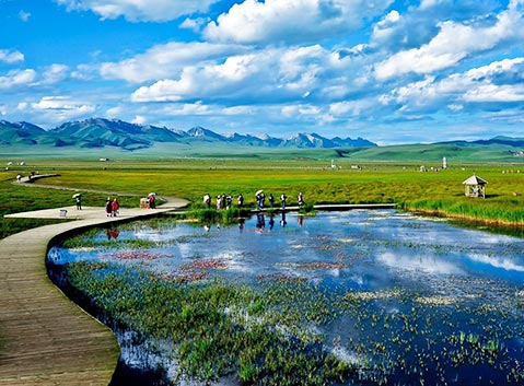 Flower Lake