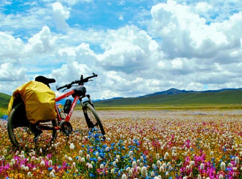 Flower Lake