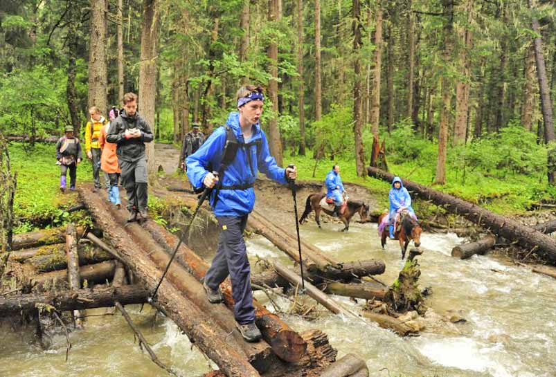 Hiking in the old-growth forest