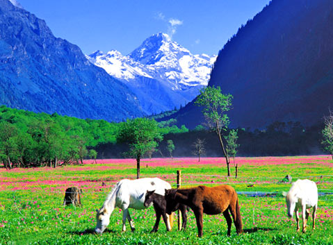 The Beautiful Changping Vallley