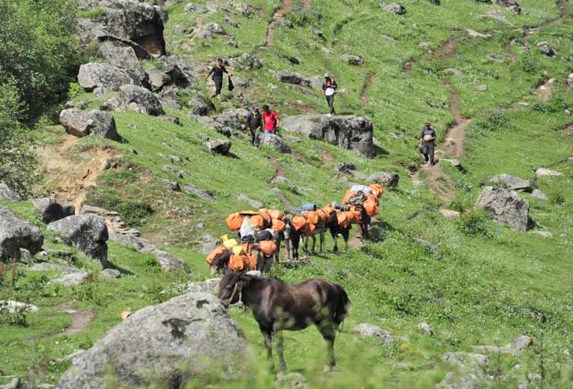 The local pack horses group