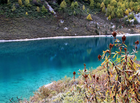 Hongxinghaizi Lake