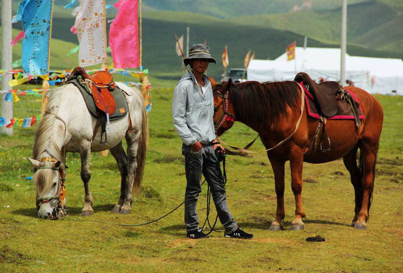 The horse riding trip