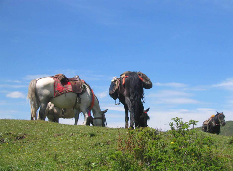 Riding a horse to Lianhuachi Campsite