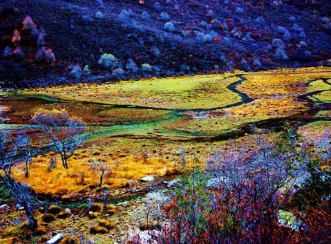 Yuhaizi Lake