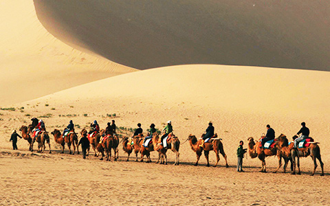 Silk Road Tour