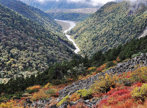 Gama Valley