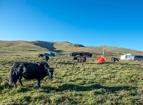 herders’ camps 