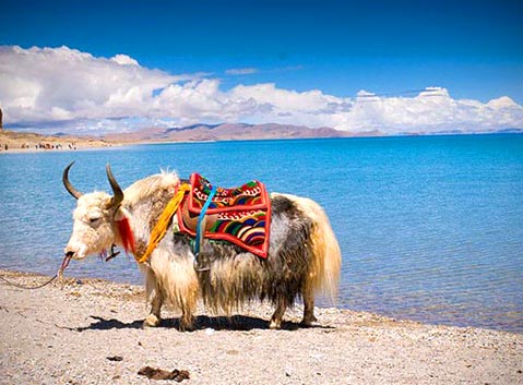 The Beautiful Namtso Lake