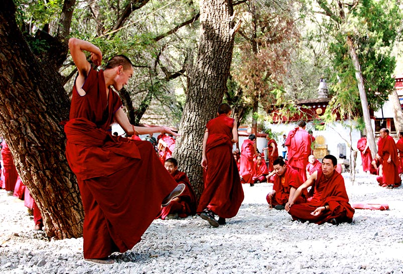 Scriptures Debating in Sera Monastery