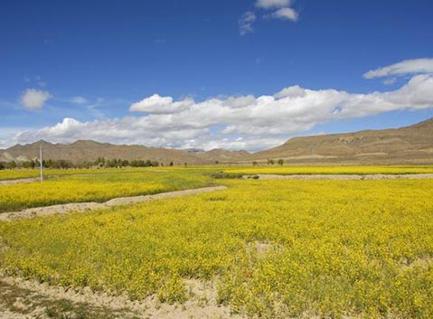 Shigatse to Lhatse