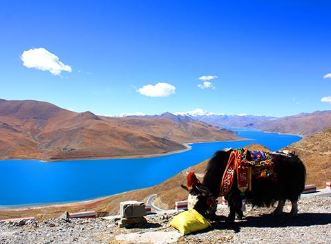 Yamdrok Lake