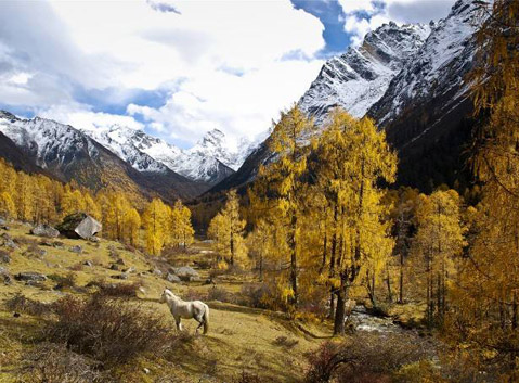 Changping Valley