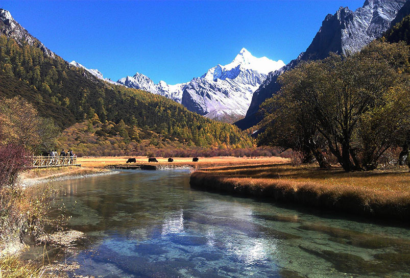 Daocheng Yading Tour