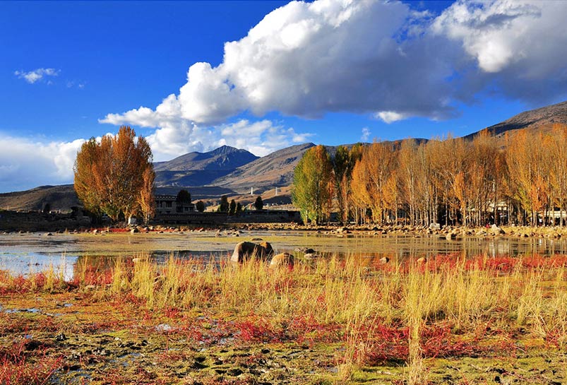 Xiinduqiao in Autumn