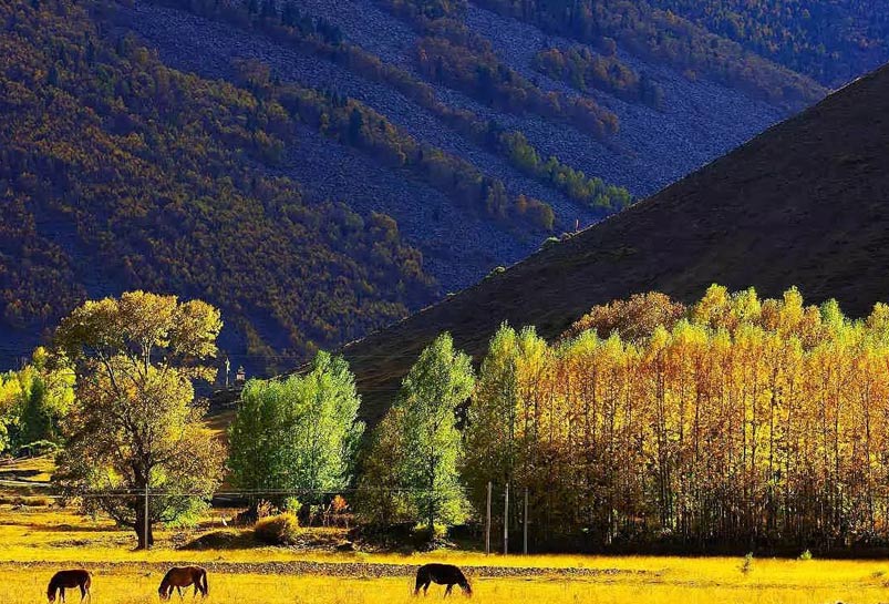 Stunning Landscape in Xinduqiao