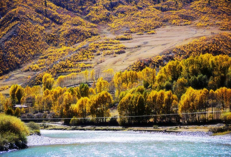 The Most Beautify Autumn View of Xinduqiao