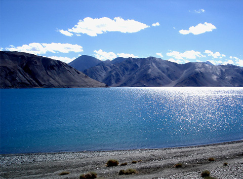 Pangong tso Lake