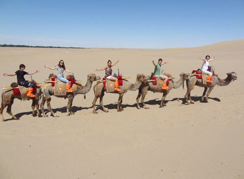 Camels Riding in Taklamakan Desert