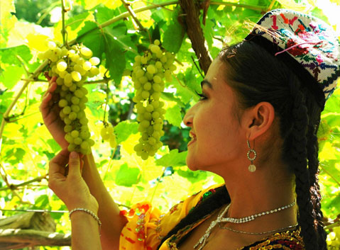 The Grape in Turpan Grape Valley