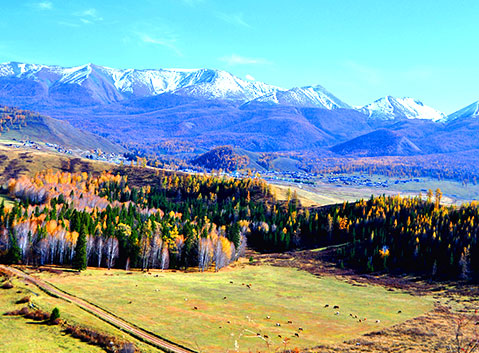 Kanas Lake Natural Reserve