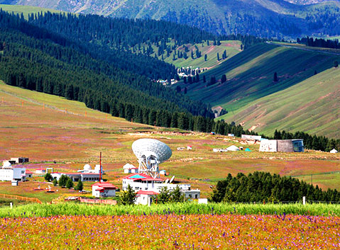 Southern Pasture
