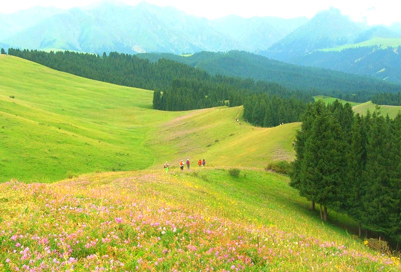 Southern Pasture