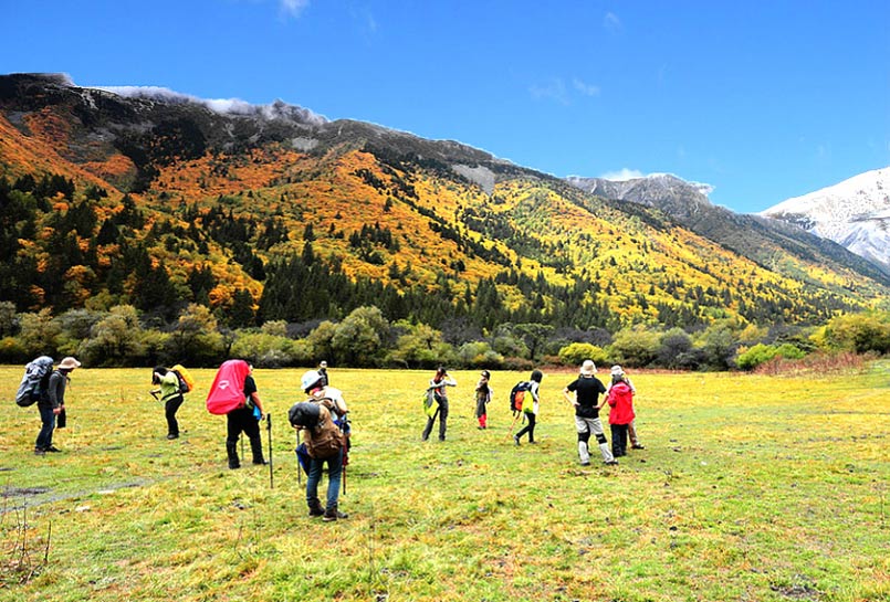 The Xindianzi Grassland in Yala Snow Mountain Area