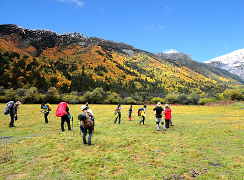 Xindianzi Grassland