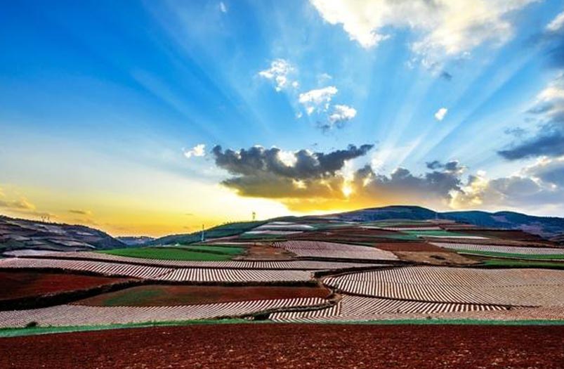 Dongchuan Red Lind Sunrise