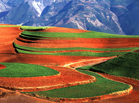 Dongchuan Red Land/ Soil