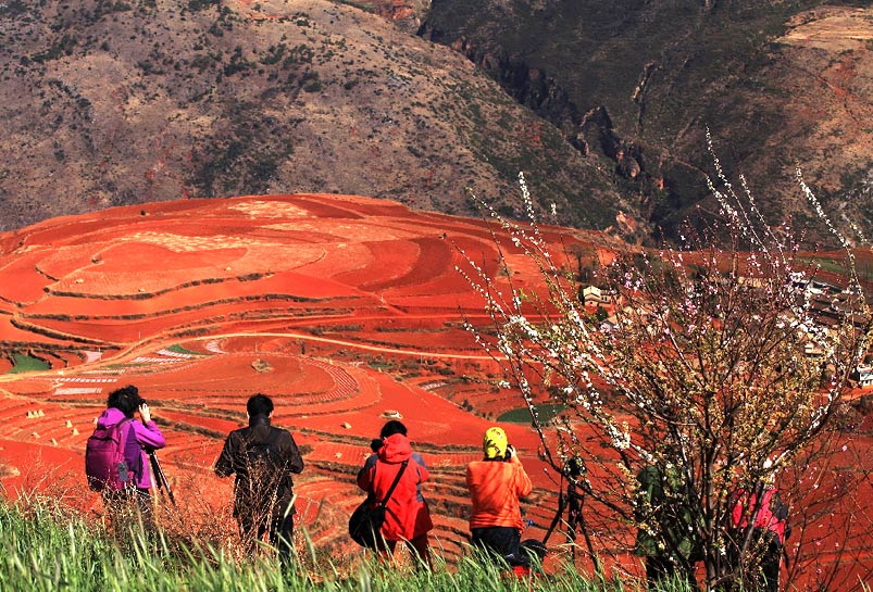 Dongchuan Red Land Photographers