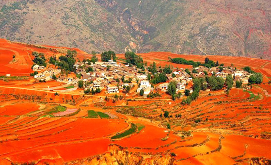 5 Days Kunming and Dongchuan Red Land Tour