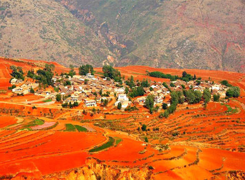 Dongchuan Red Land/ Soil