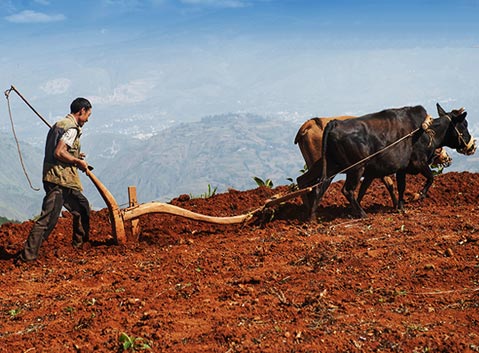 Dongchuan Red Soil Area