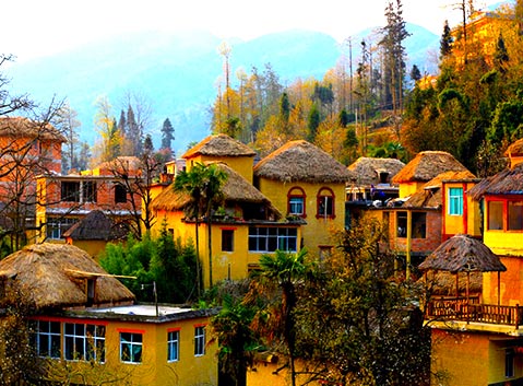Hani Mushroom Houses