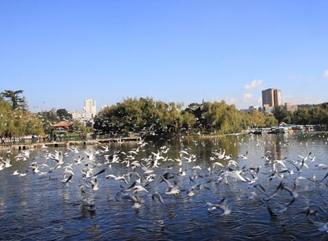 Cuihu Lake in Kunming City