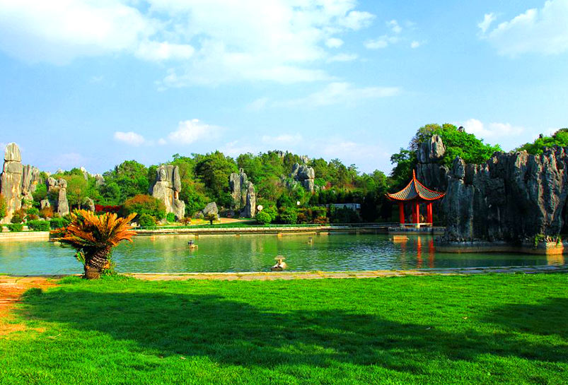 The Stone Forest