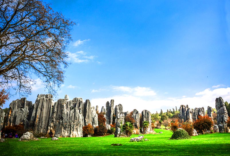 Kunming Stone Forest