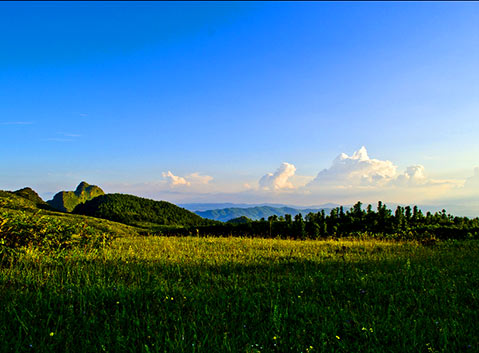 Western Hill Park